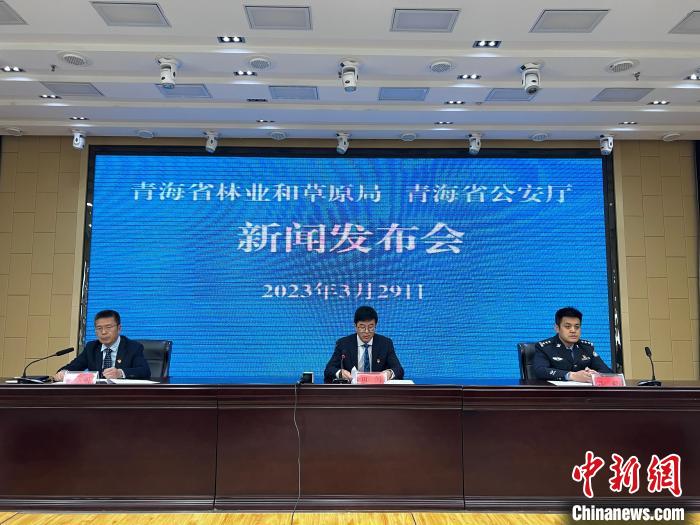 青海去年占用林地、草地準(zhǔn)予許可件同比實現(xiàn)“雙減”