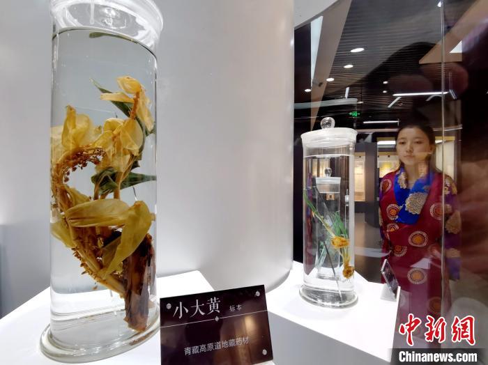 青海中藏醫(yī)藥發(fā)展提速：建設(shè)一批重點(diǎn)?？茖W(xué)科，推廣一批適宜技術(shù)