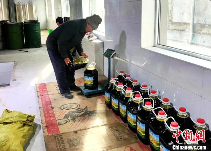 圖為高原油菜籽榨出的菜籽油?！埖么?攝