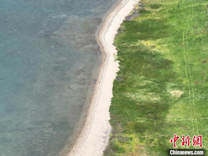 圖為航拍仲夏時(shí)節(jié)，青海湖畔綠茵如毯?！∑钤鲚?攝