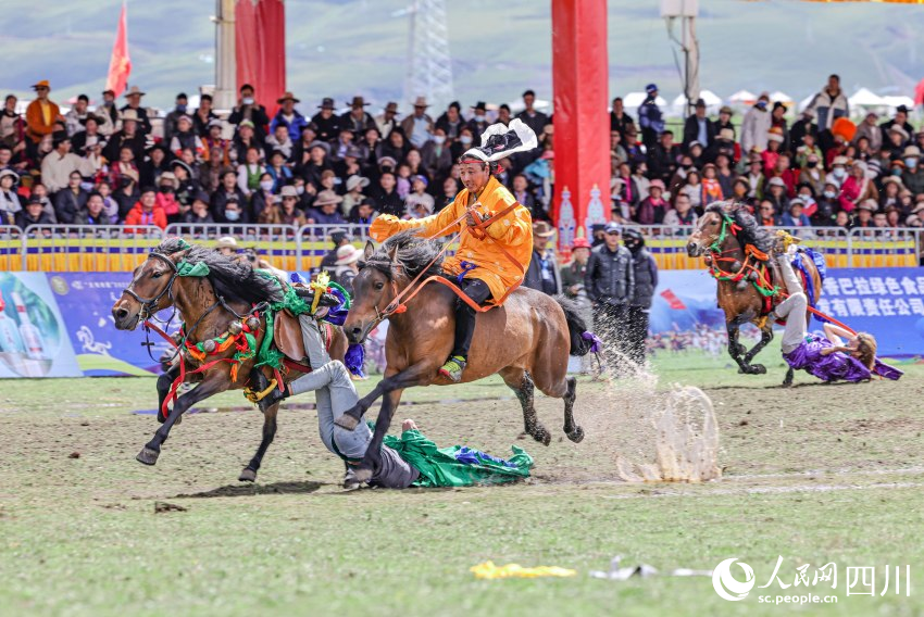 馬術(shù)表演現(xiàn)場。洛絨尼瑪攝