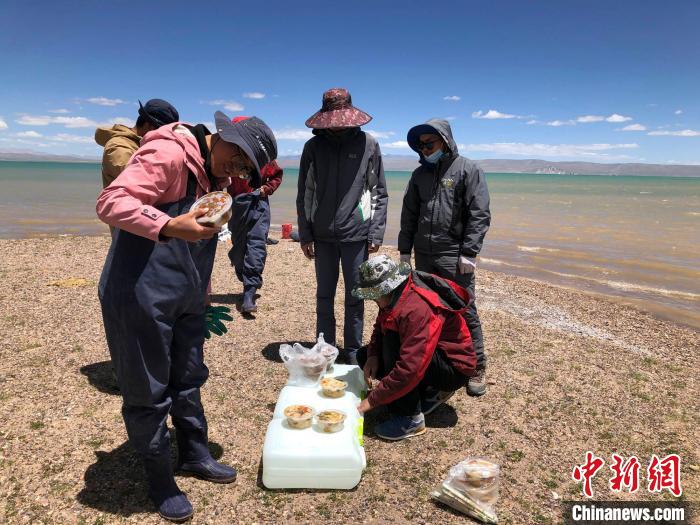 科考隊(duì)員在高原湖泊岸邊進(jìn)餐。　<a target='_blank' ><p  align=