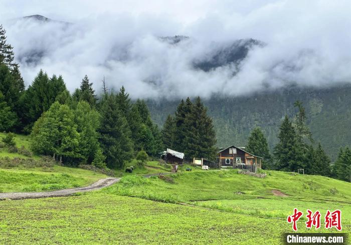 6月10日，魯朗小鎮(zhèn)高山牧場景區(qū)風(fēng)光?！∪轿木?攝
