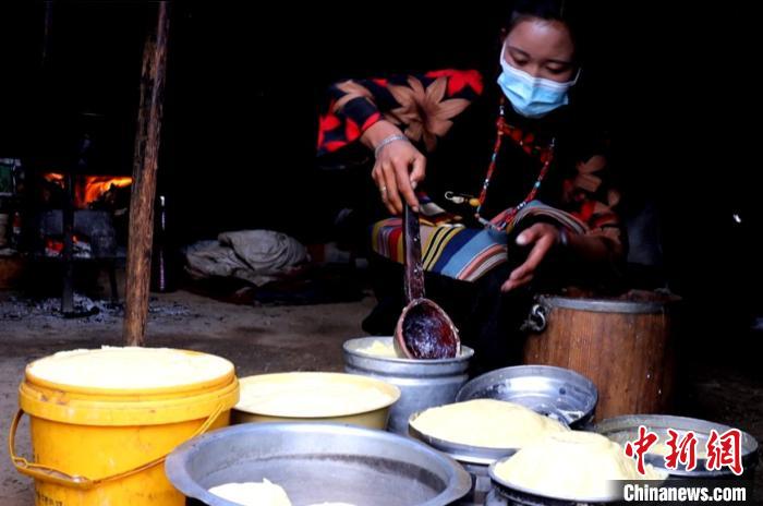 圖為牧民正在制作酥油?！∪湛t文聯(lián)供圖