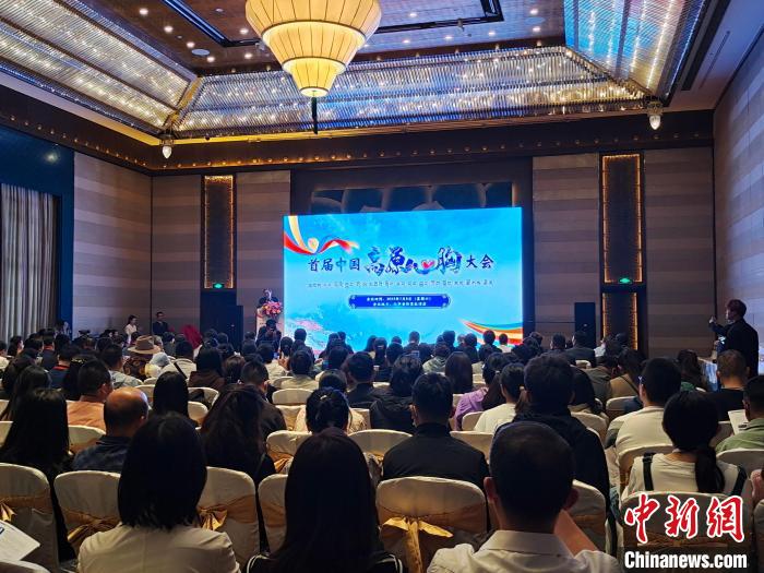 圖為首屆中國高原心胸大會現(xiàn)場。　頓旦旺姆 攝