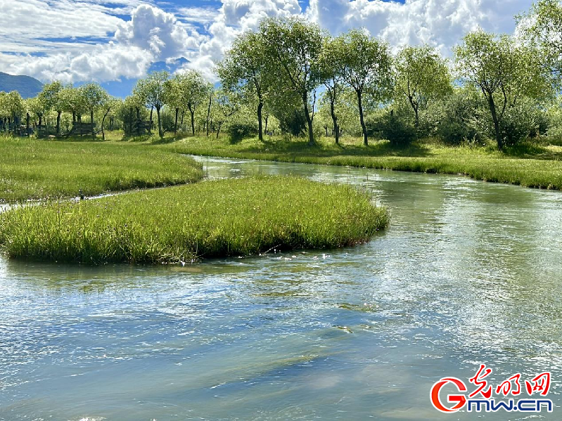 我們的家園丨【組圖】 綠水青山入畫，“金山銀山”筑起