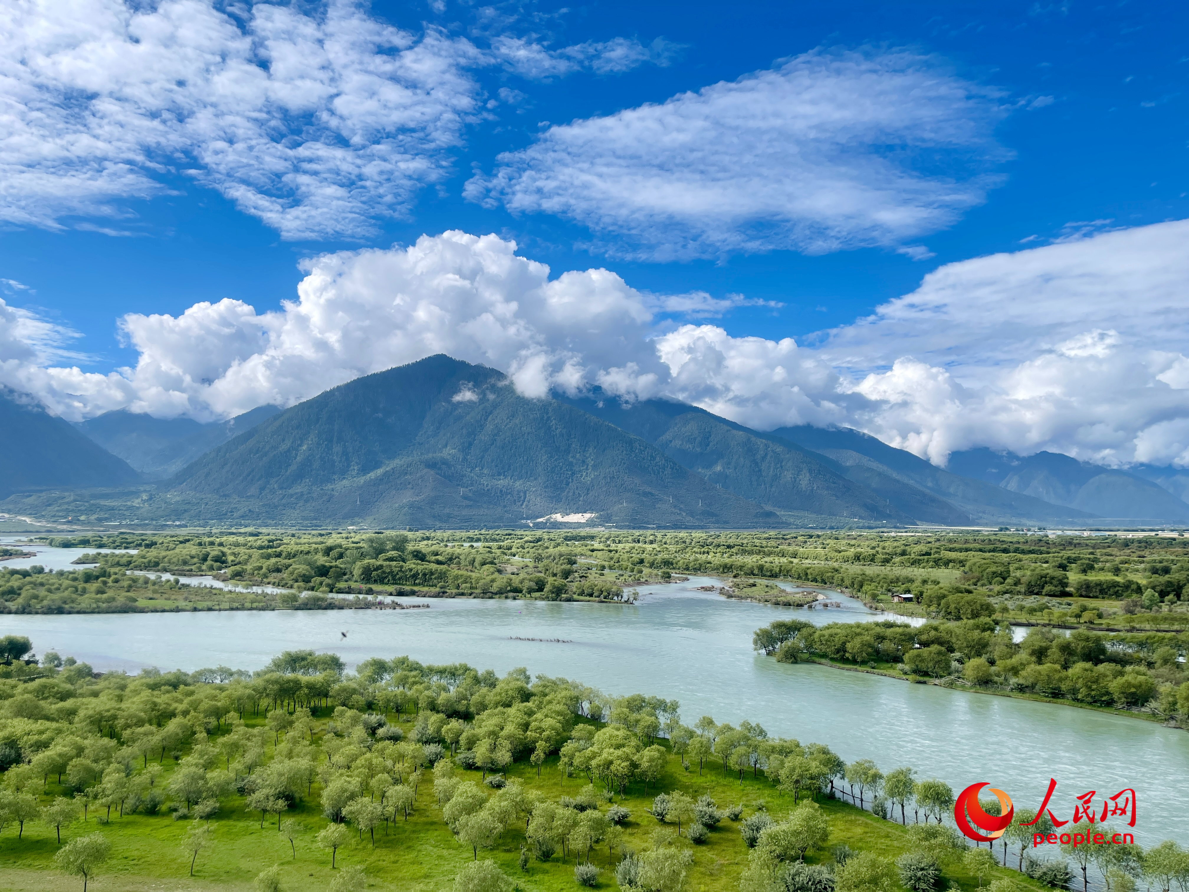 夏日的雅尼國家濕地公園生機(jī)盎然，如詩如畫。人民網(wǎng) 周靜圓攝