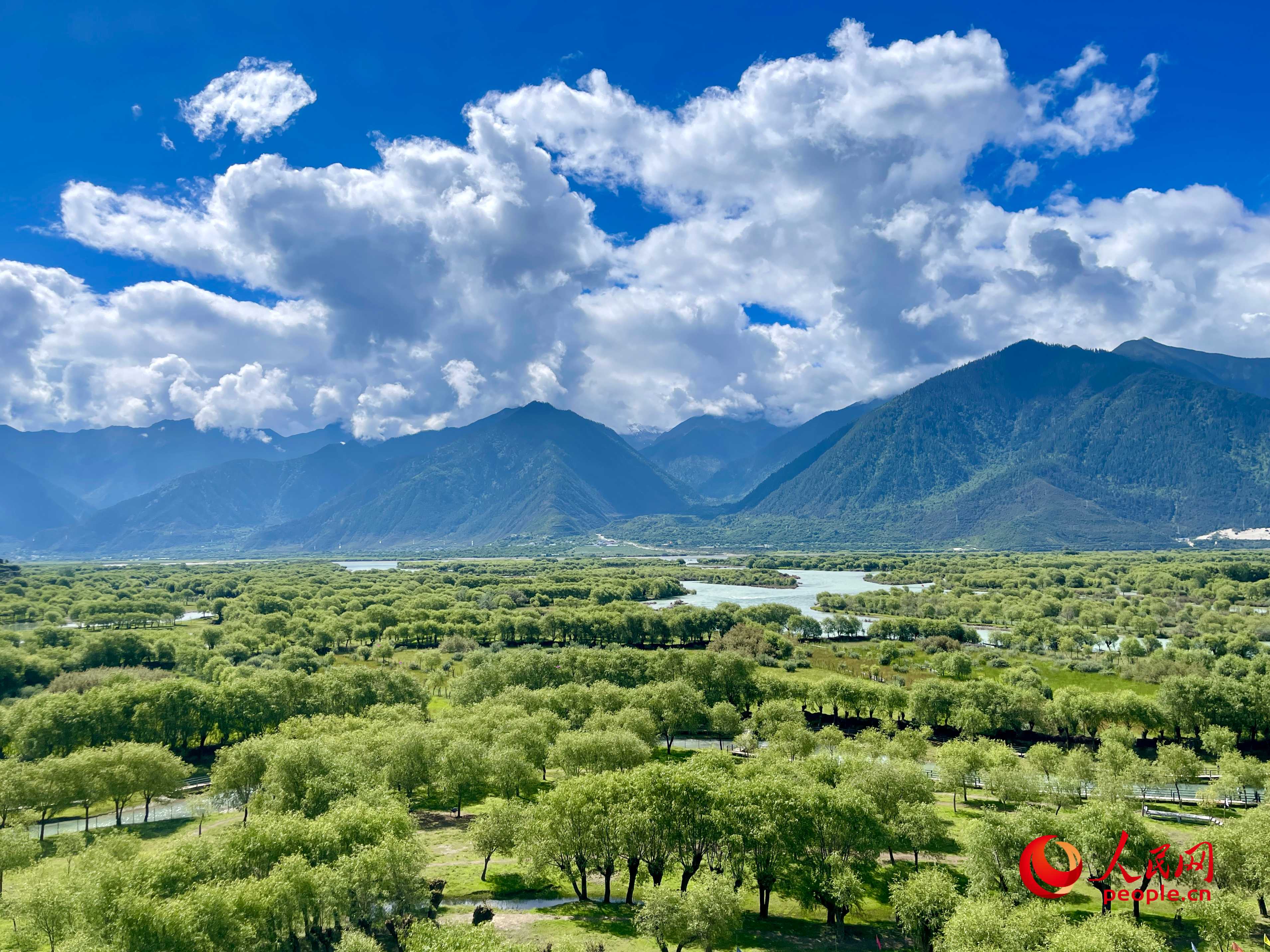 夏日的雅尼國家濕地公園生機(jī)盎然，如詩如畫。人民網(wǎng) 周靜圓攝