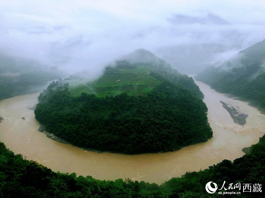 雅魯藏布江大峽谷蛇形拐彎處，山坡上種滿茶樹。