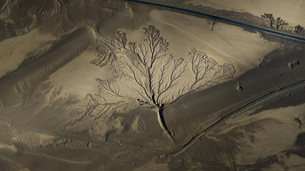無人機視角下的西藏阿里地區(qū)改則縣“大地之樹”景觀。尼瑪多吉攝