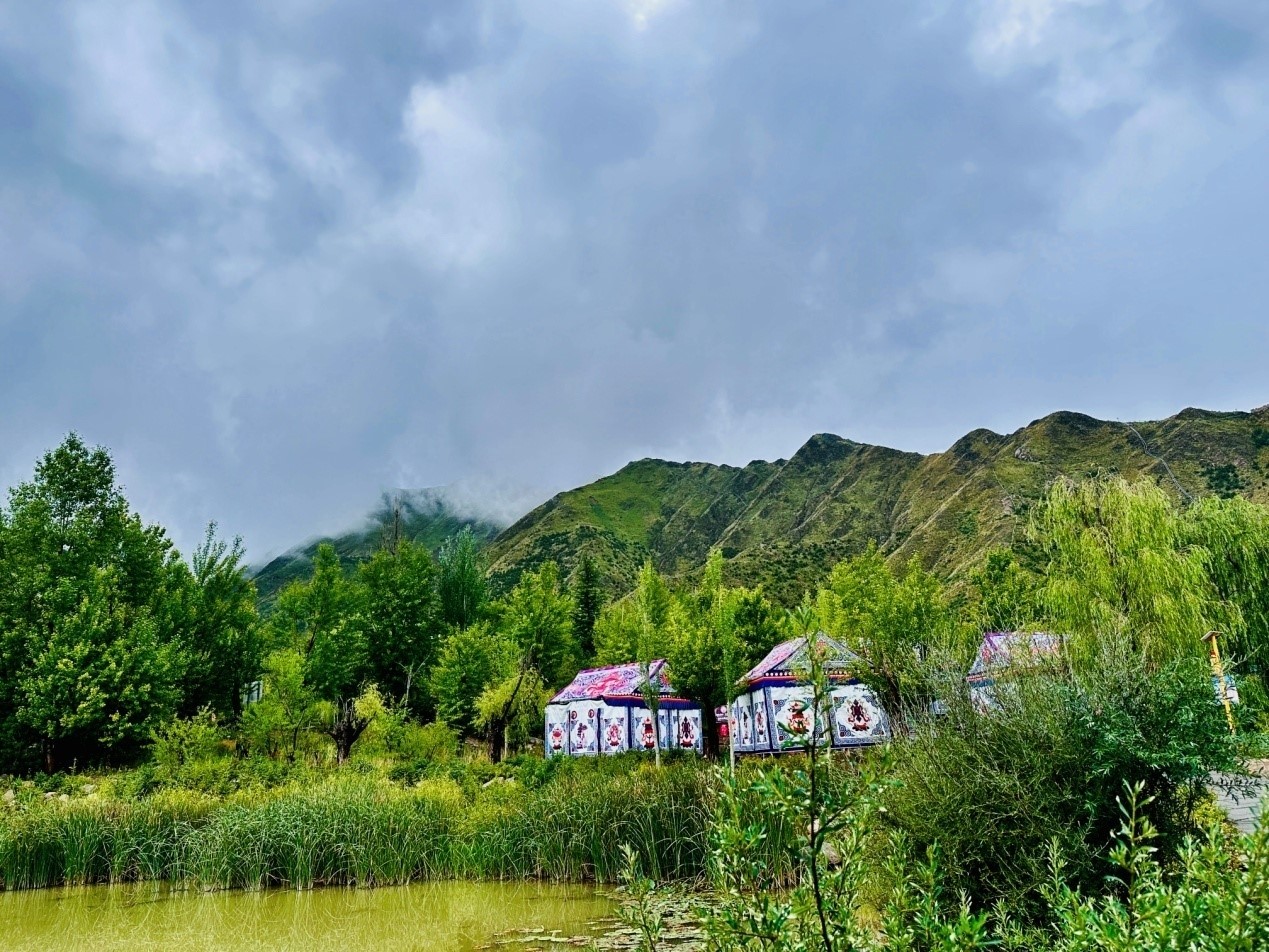 郁郁蔥蔥的南山公園。人民網(wǎng)記者 益西康珠攝
