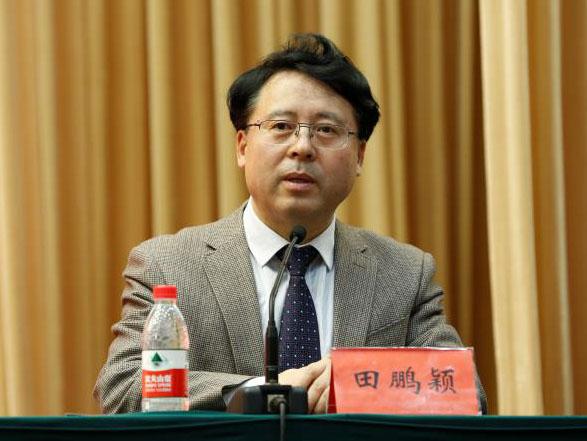 田鵬穎：投入其中、樂在其中、安身其中
